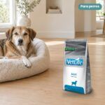 Perro junto a Farmina Vet Life Joint Pienso para Perros
