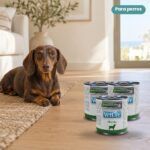 Perro junto a Farmina Vet Life Obesity Comida Húmeda para Perros