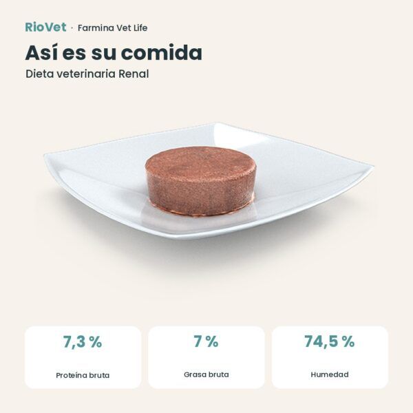 Composición de Farmina Vet Life Renal Comida Húmeda para Gatos