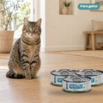 Gato junto a Farmina Vet Life Renal Comida Húmeda para Gatos