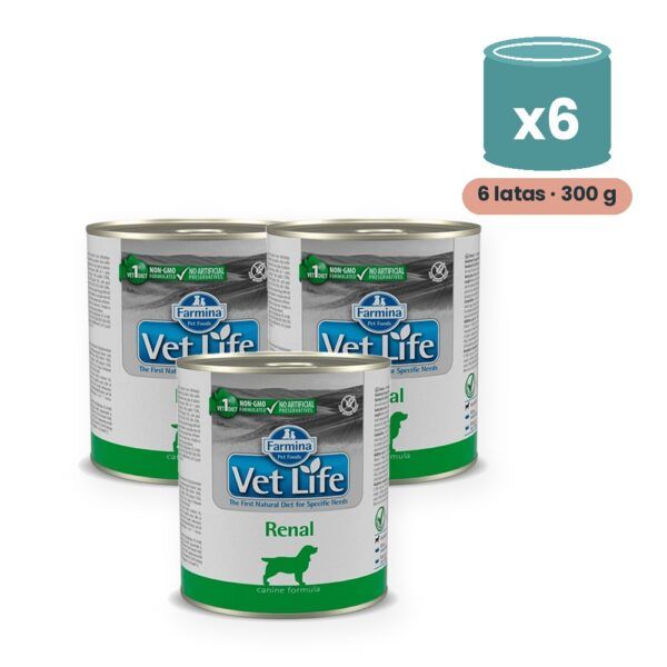 Farmina Vet Life Renal Comida Húmeda para Perros Pack 6x300 g