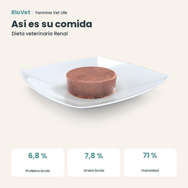 Composición de Farmina Vet Life Renal Comida Húmeda para Perros