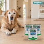 Perro junto a Farmina Vet Life Renal Comida Húmeda para Perros