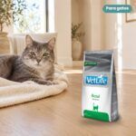 Gato junto a Farmina Vet Life Renal Pienso para Gatos