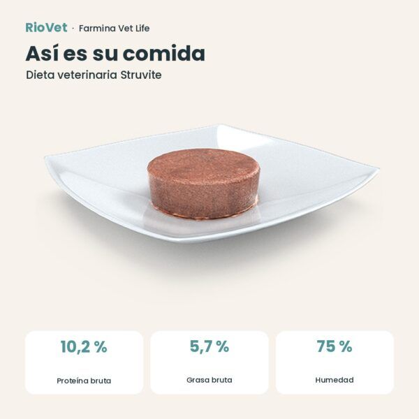 Composición de Farmina Vet Life Struvite Comida Húmeda para Gatos