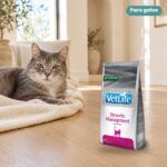 Gato junto a Farmina Vet Life Struvite Management Pienso para Gatos