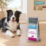 Perro junto a Farmina Vet Life Struvite Management Pienso para Perros