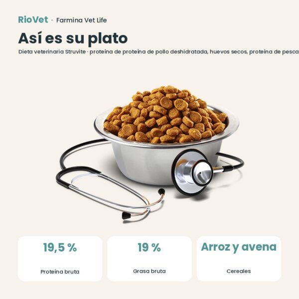 Composición de Farmina Vet Life Struvite Pienso para Perros