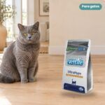 Gato junto a Farmina Vet Life UltraHypo Pienso para Gatos