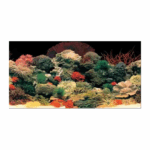 Ferplast Fondo de Acuario Doble Cara 120 x 50 cm