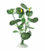 Ferplast Planta de Seda BLU 9092 para Acuario 30 cm