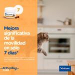 Virbac Movoflex Condroprotector Para Gatos 30 Chews - Imagen 7