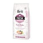 Saco de Brit Fresh Chicken with Potato Puppy Healthy Growth con pollo fresco para cachorros