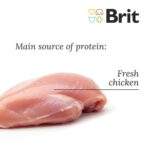 Beneficios de Brit Fresh Puppy: crecimiento, defensas, articulaciones y piel