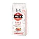 Saco de Brit Fresh Beef with Pumpkin Puppy Large con ternera fresca para cachorros de razas grandes