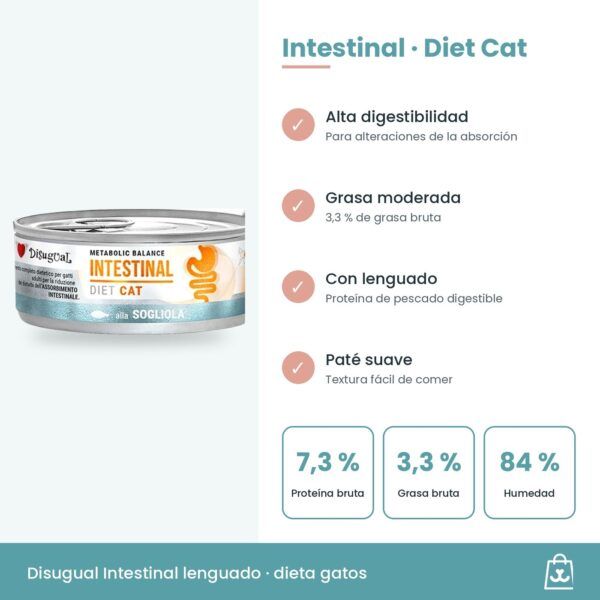Infografía Disugual Latas Intestinal de Lenguado para Gatos: beneficios y datos clave
