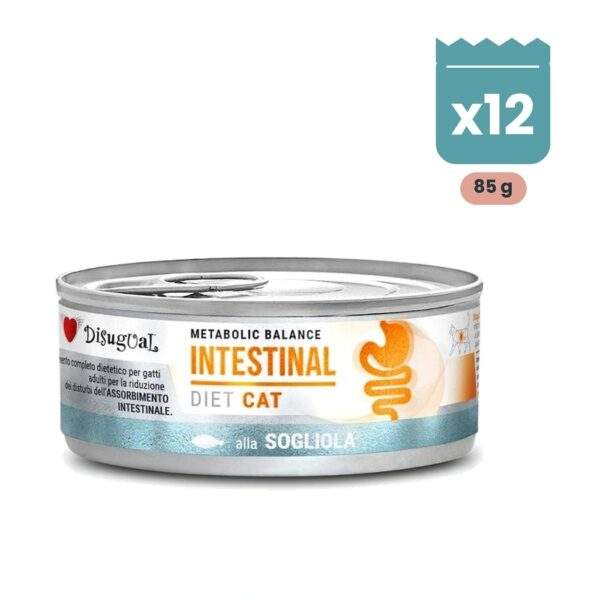 Disugual Latas Intestinal de Lenguado para Gatos Pack Ahorro 12x85 g