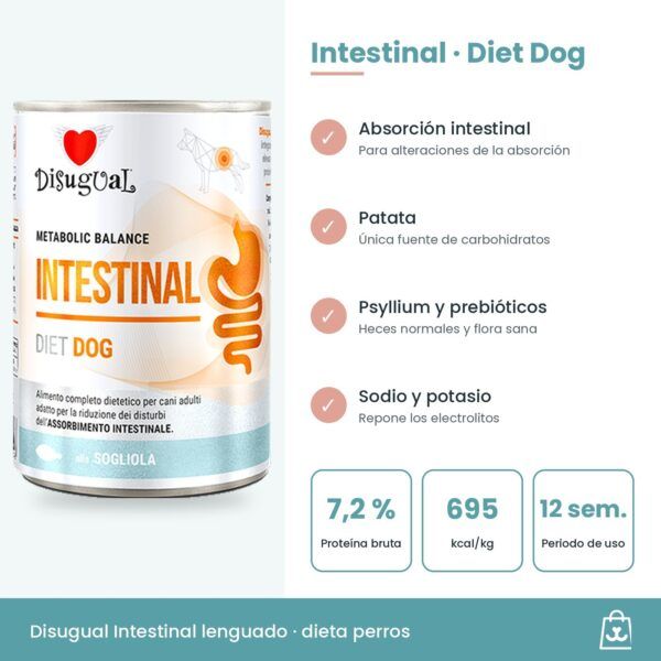 Infografía Disugual Latas Intestinal de Lenguado para Perros: beneficios y datos clave