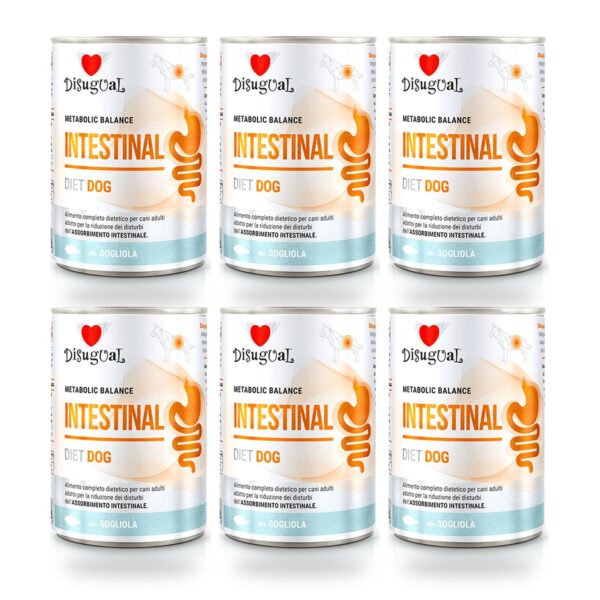 Disugual Latas Intestinal de Lenguado para Perros Pack Ahorro 6×400 Gr (6 unidades)