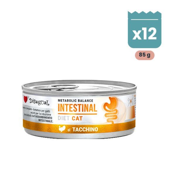 Lata de Disugual Intestinal de pavo para gatos, pack de 12 latas de 85 g en paté