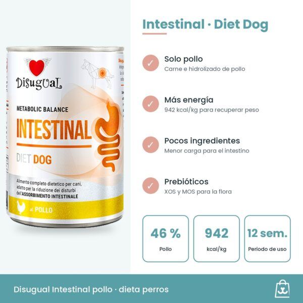 Infografía del paté Intestinal de pollo: hidrolizado de pollo, patata, prebióticos y uso de 12 semanas