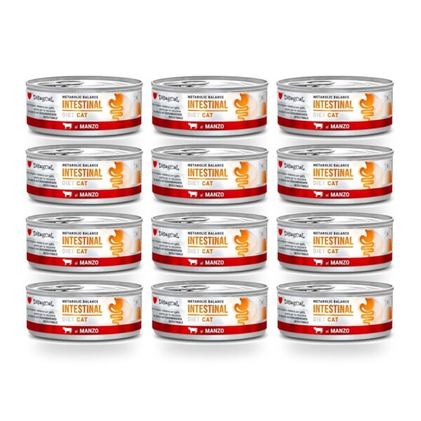 Disugual Latas Intestinal de Ternera para Gatos Pack Ahorro 12×85 Gr