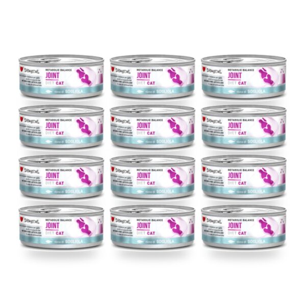 Disugual Latas Joint de Lenguado para Gatos Pack Ahorro 12×85 Gr (12 unidades)