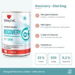 Infografía del paté Recovery de cordero: 920 kcal/kg, cordero 33 %, proteína de alto valor y omega-3