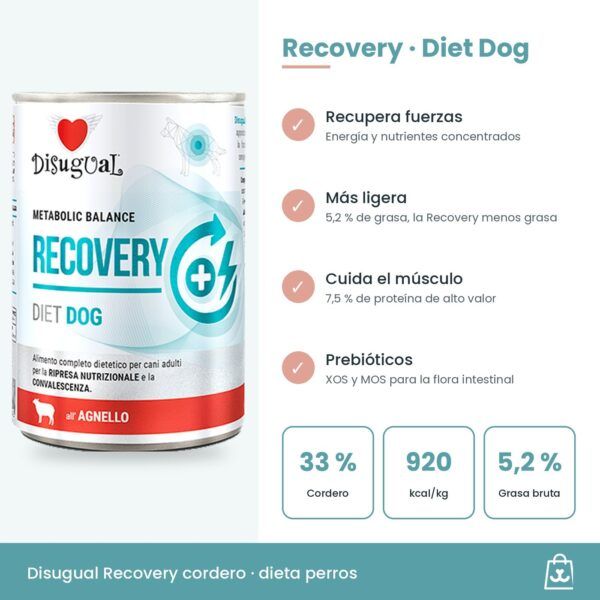 Infografía del paté Recovery de cordero: 920 kcal/kg, cordero 33 %, proteína de alto valor y omega-3