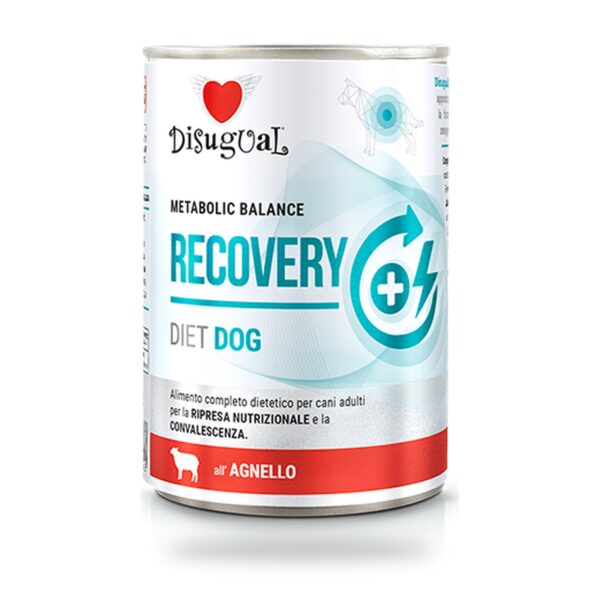 Disugual Latas Recovery de Cordero para Perros Pack Ahorro 6×400 Gr - unidad