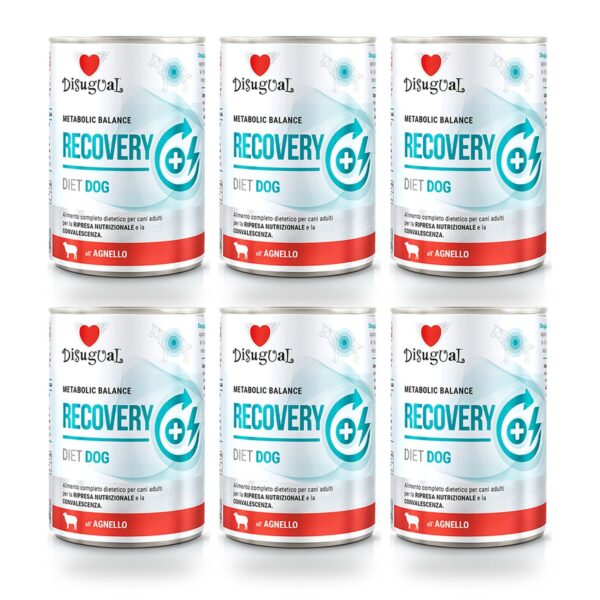Disugual Latas Recovery de Cordero para Perros Pack Ahorro 6×400 Gr