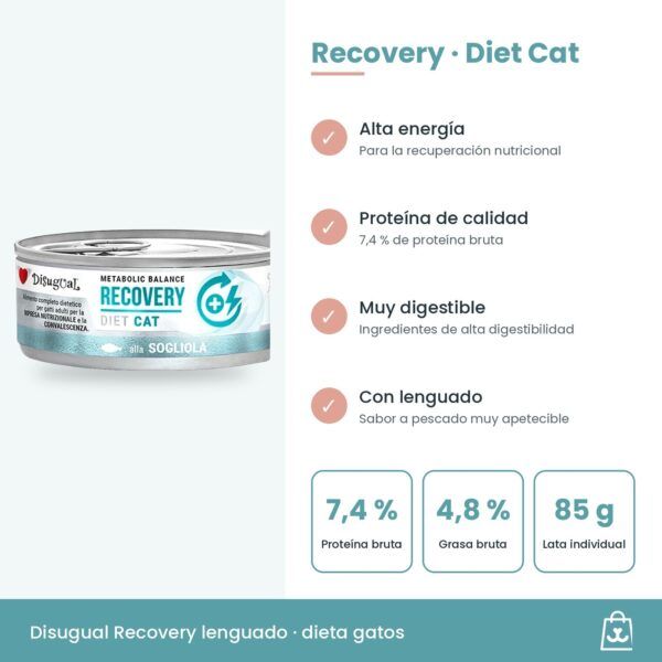 Infografía Disugual Latas Recovery de Lenguado para Gatos: beneficios y datos clave