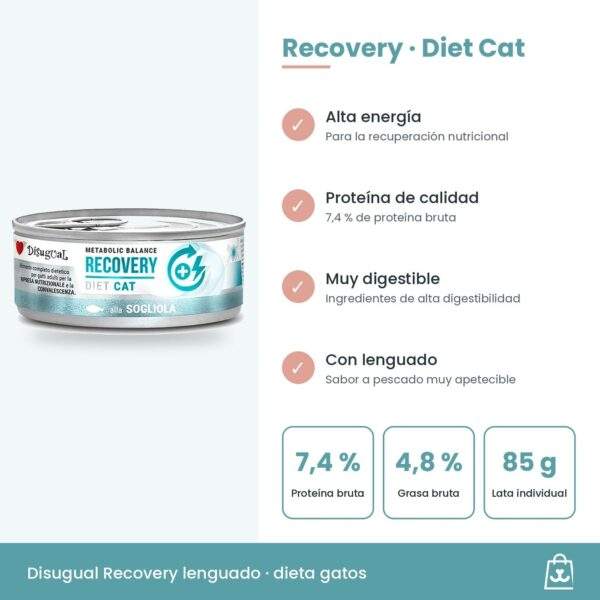 Disugual Latas Recovery de Lenguado para Gatos Pack Ahorro 12x85 g composición y beneficios