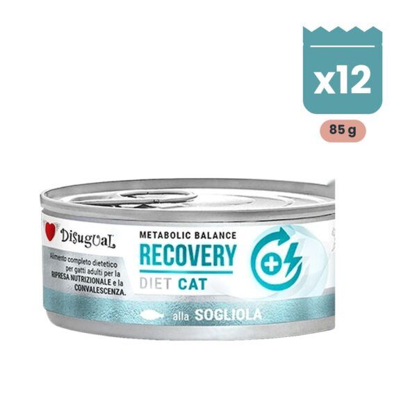 Disugual Latas Recovery de Lenguado para Gatos, pack 12x85 Gr