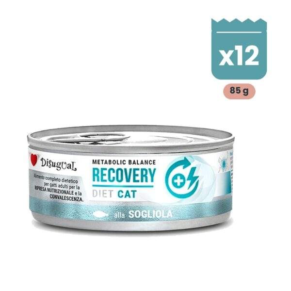 Disugual Latas Recovery de Lenguado para Gatos Pack Ahorro 12x85 g
