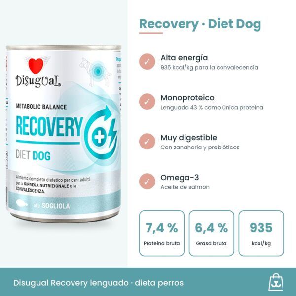 Infografía Disugual Latas Recovery de Lenguado para Perros: beneficios y datos clave