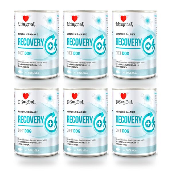 Disugual Latas Recovery de Lenguado para Perros Pack Ahorro 6×400 Gr (6 unidades)