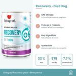 Infografía del paté Recovery: 975 kcal/kg, pato 33 %, ingredientes muy digestibles y omega-3