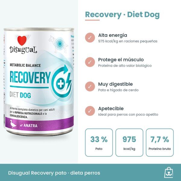 Infografía del paté Recovery: 975 kcal/kg, pato 33 %, ingredientes muy digestibles y omega-3
