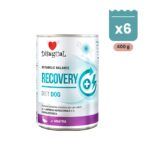 Lata Disugual Recovery de pato para perros, paté dietético de 400 g para la convalecencia