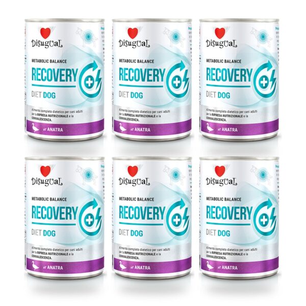 Disugual Latas Recovery de Pato para Perros Pack Ahorro 6×400 Gr