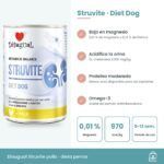 Infografía del paté Struvite: bajo magnesio y fósforo, DL-metionina, omega-3 y periodo de 5 a 12 semanas