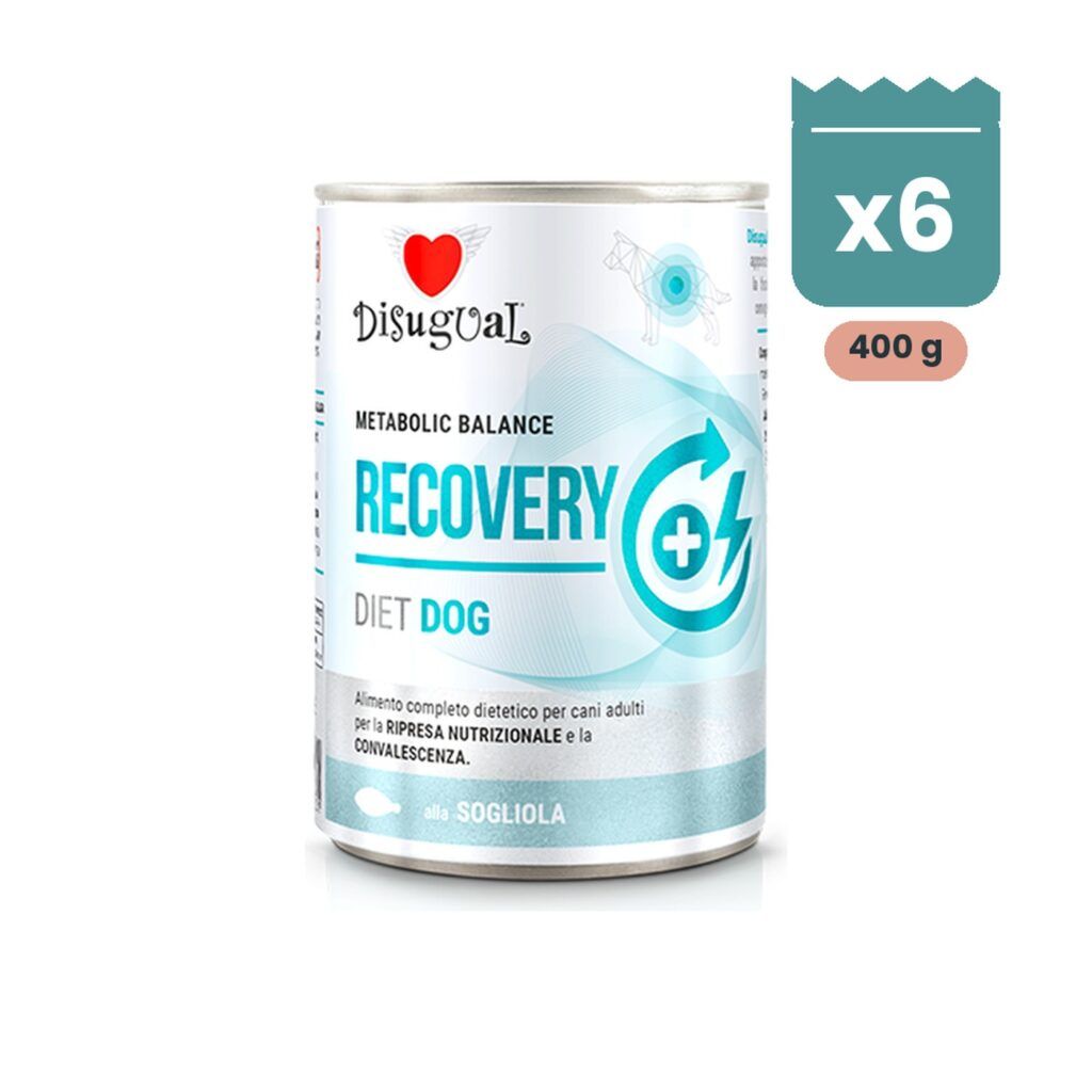 Disugual Latas Recovery de Lenguado para Perros Pack Ahorro 6x400 g