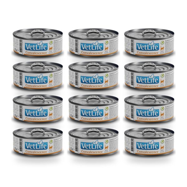 Farmina Vet Life Convalescence Comida Húmeda para Gatos Pack 12×85 g