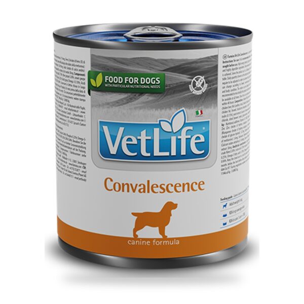 Farmina Vet Life Convalescence Comida Húmeda para Perros Pack 6×300 g - unidad