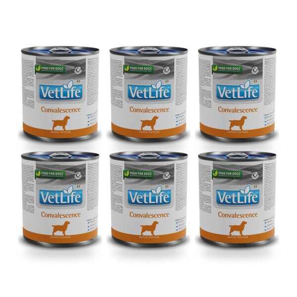 Farmina Vet Life Convalescence Comida Húmeda para Perros Pack 6×300 g