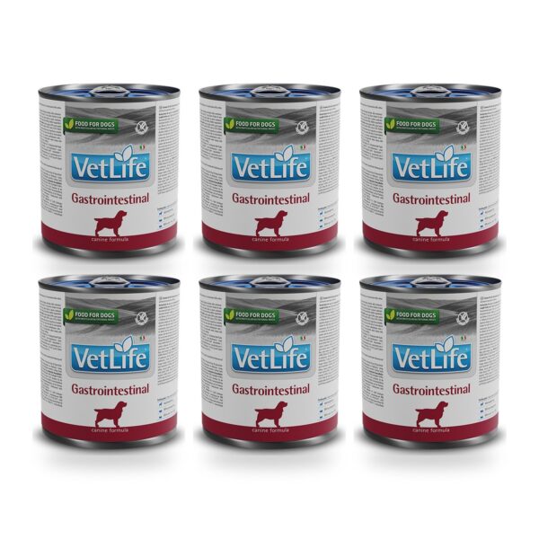 Farmina Vet Life Gastrointestinal Comida Húmeda para Perros Pack 6×300 g