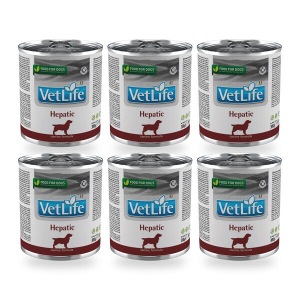 Farmina Vet Life Hepatic Comida Húmeda para Perros Pack 6×300 g