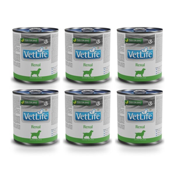 Farmina Vet Life Renal Comida Húmeda para Perros Pack 6×300 g