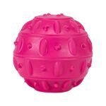 Freedog Juguete Goma Pelota Snack Teak Para Perros